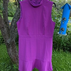 Ann Taylor Fuschia Purple Dress Size 14